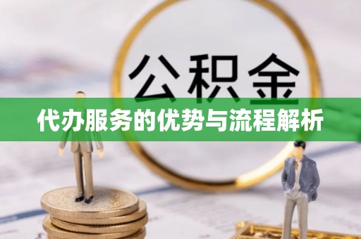 楚雄代办服务的优势与流程解析