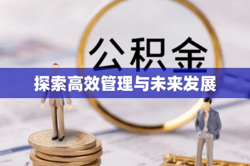 楚雄探索高效管理与未来发展
