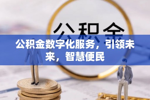 楚雄公积金数字化服务，引领未来，智慧便民