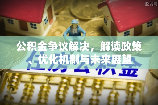 楚雄公积金争议解决，解读政策、优化机制与未来展望