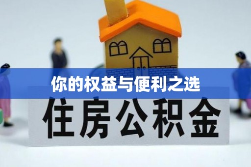 楚雄你的权益与便利之选