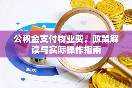 楚雄公积金支付物业费，政策解读与实际操作指南
