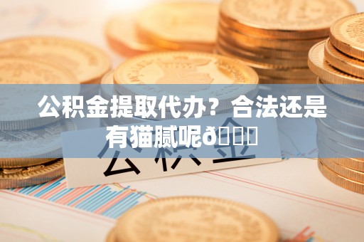 楚雄公积金提取代办？合法还是有猫腻呢😏