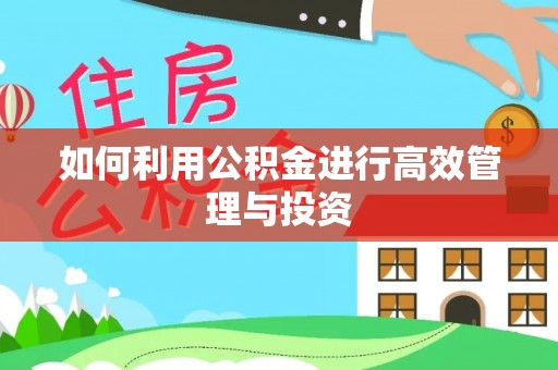 楚雄如何利用公积金进行高效管理与投资