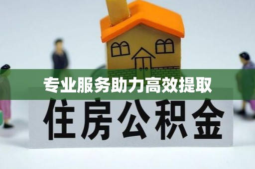 楚雄专业服务助力高效提取