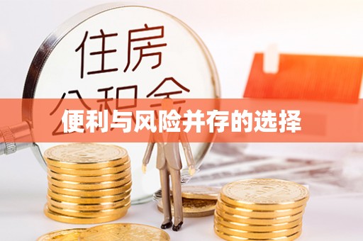 楚雄便利与风险并存的选择
