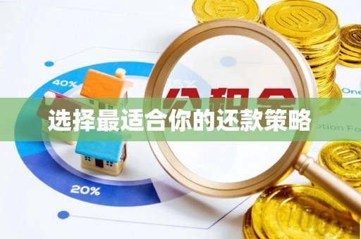 楚雄选择最适合你的还款策略