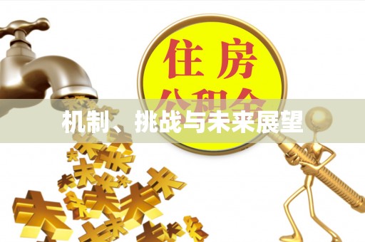 楚雄机制、挑战与未来展望