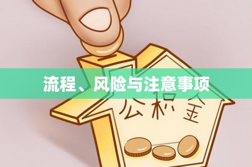 楚雄流程、风险与注意事项