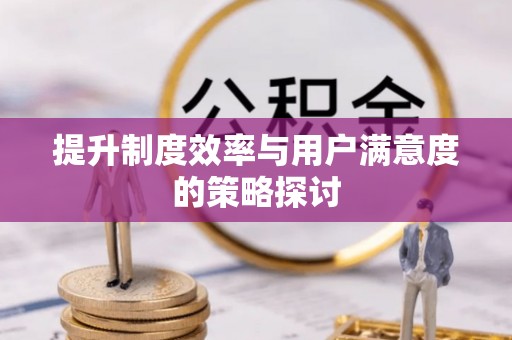 楚雄提升制度效率与用户满意度的策略探讨