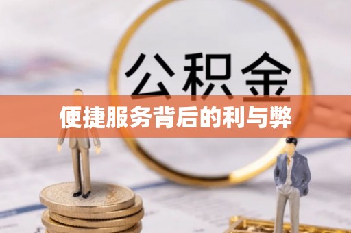 楚雄便捷服务背后的利与弊