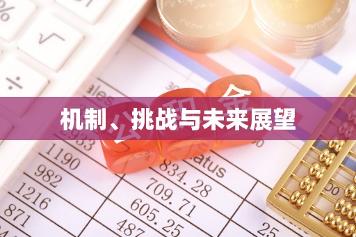楚雄机制、挑战与未来展望